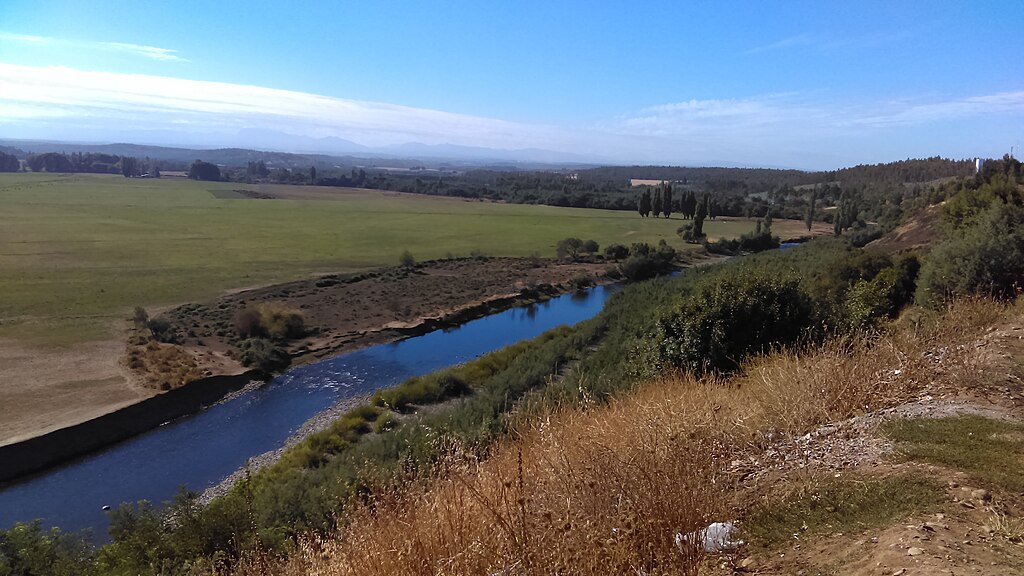 Mulchén: Ineficiente gestión de ESSBIO evidencia efecto Fosfogedón sobre el río Bureo