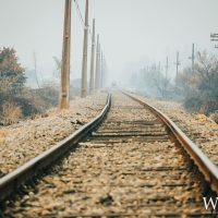 330152951_518687397052631_6489337584093096564_n